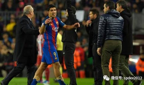  摩纳哥队长红牌停赛无缘生死战  